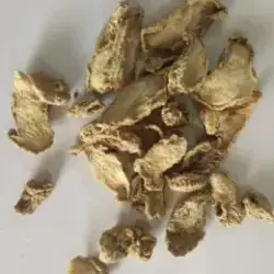 dehydrated ginger