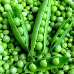 peas_whole_fresh_produce_2