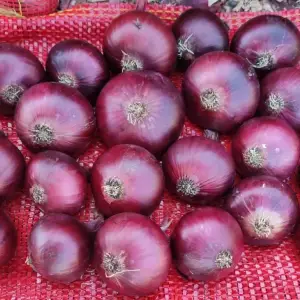 red_onion_fresh_produce
