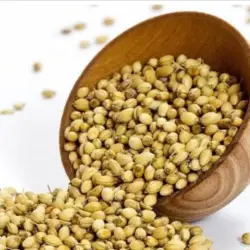 Coriander Seeds