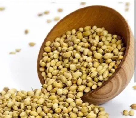 Coriander Seeds