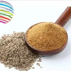 Cumin Powder