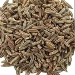 Cumin Seeds