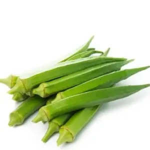 okra-bhindi-fresh-1
