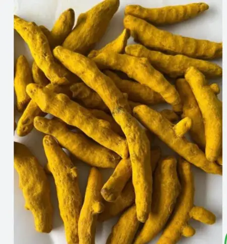 Turmeric Finger Double Polished